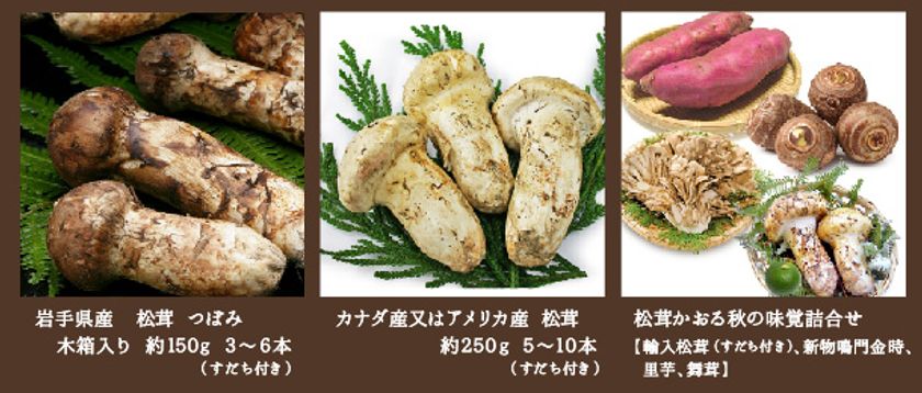 大特価人気 岩手県産 松茸