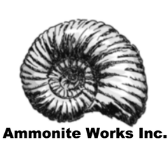 株式会社アンモナイトワークス