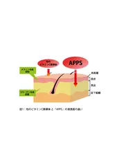 APPSの浸透度はこんなにスゴい！