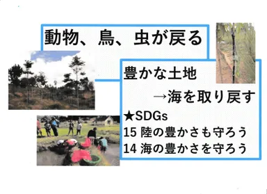 自然が甦り、SDGsにも貢献