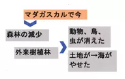 自然が失われています