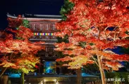【夜】山門と紅葉