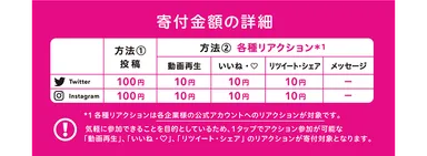 寄付金額の詳細