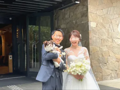 結婚式ペットシッター