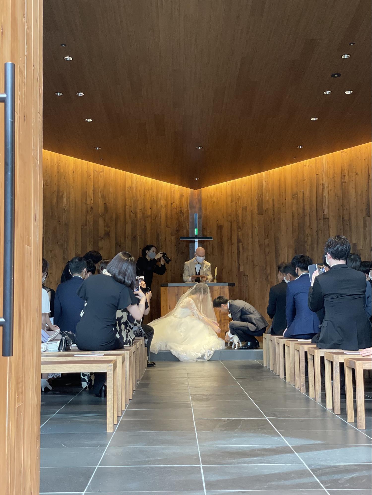 結婚式や前撮りもペットと一緒 プロのペットシッターにペットのお世話をお任せできる 結婚式 ペットシッタープラン が登場 オリーブジャパン株式会社のプレスリリース
