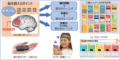 最先端脳科学に基づく次世代脳トレ