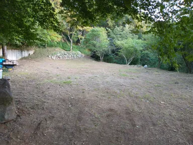 テント設置場所(もみじ)