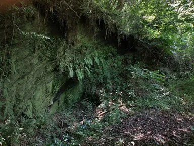 テント設置場所(ジオスポット)