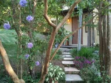 伊豆楢の森診療所 2