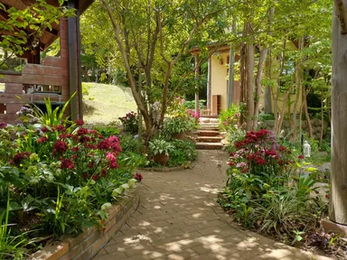 伊豆楢の森診療所 2