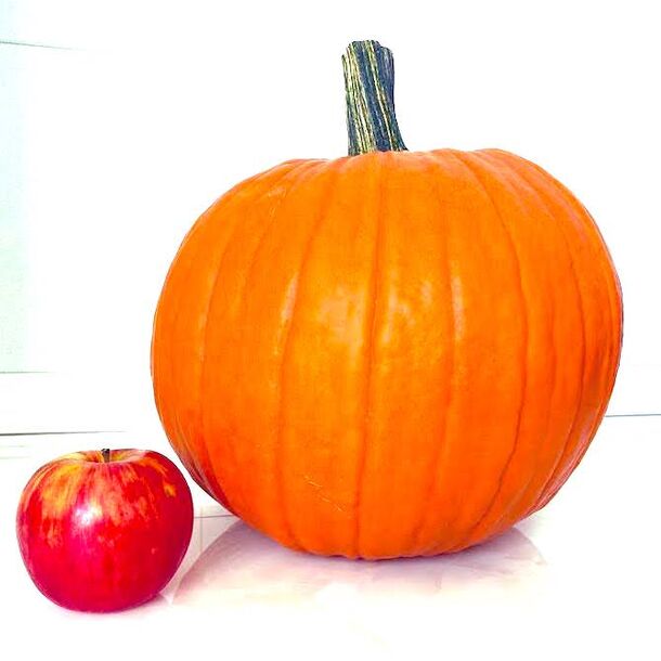 コロナ禍のおうち時間 ハロウィンかぼちゃ で楽しもう 9月日 北海道旬直 で観賞用かぼちゃの予約注文を開始 株式会社グラッド 北海道旬直のプレスリリース