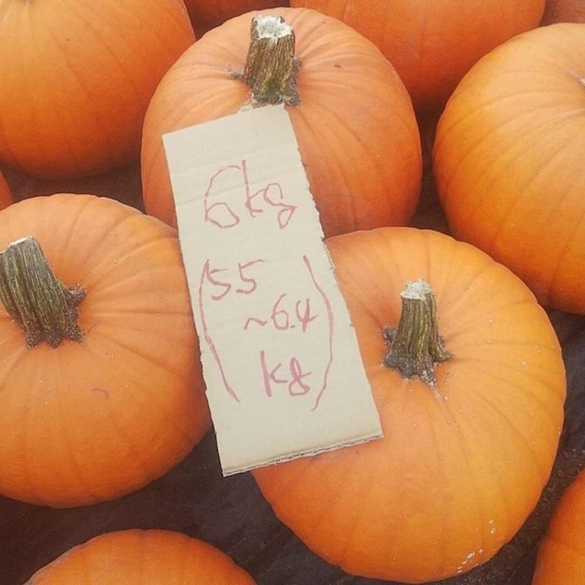 コロナ禍のおうち時間 ハロウィンかぼちゃ で楽しもう 9月日 北海道旬直 で観賞用かぼちゃの予約注文を開始 株式会社グラッド 北海道旬直のプレスリリース コロナ禍のおうち時間 ハロウィンかぼちゃ で楽しもう 9月日 北海道旬直 で観賞用かぼちゃの予約注文を開始 株式会社グラッド 北海道旬直のプレスリリース