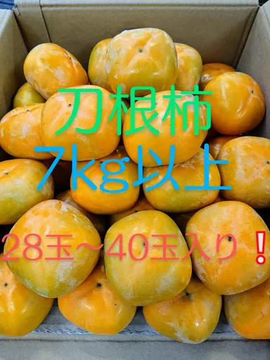 たねなし柿7kg 9月中旬から
