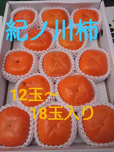 紀の川柿 10月から