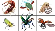 実際の昆虫に基づいて描き下ろされたオリジナルイラストを採用！