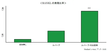 RANKLの発現比率