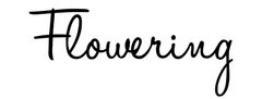 株式会社フラワーリング