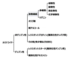 ルミナコイドの図