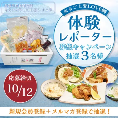 愛LOVE鯛体験レポーターキャンペーン