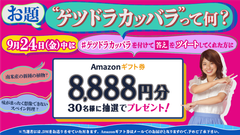 「ゲツドラカッバラ」」ってなんだ？カンテレが謎の言葉でプレゼントキャンペーンを実施！