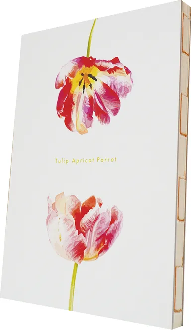 EggnWorks チューリップ