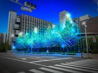 ※写真はイメージ