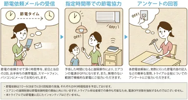 トライアル内容