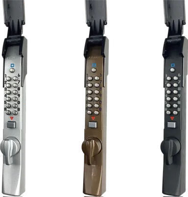 カラーバリエーション