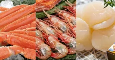 北海道の厳選海の幸をEC販売