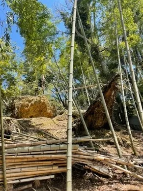 京都華厳寺　鈴虫寺(6)