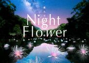 Night Flower作品画像