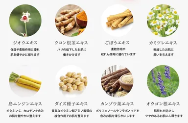 根菜類など8種の植物成分がお肌をめぐります
