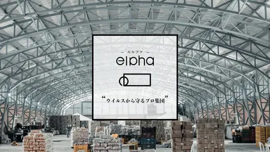 株式会社elpha