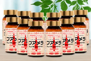 ブアメラ500VE12本、1年分