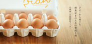 養鶏農家の朝採り卵　定期販売開始