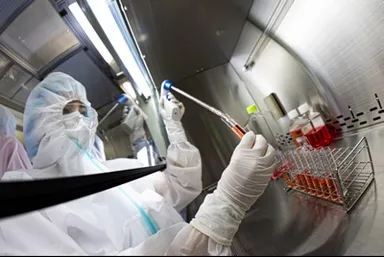 図2：当クリニックで使用するヒト乳歯由来歯髄幹細胞培養上清液