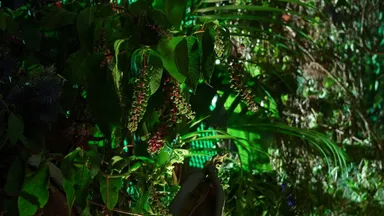 会場装飾(実際のもの)3