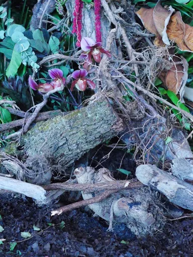 会場装飾(実際のもの)5