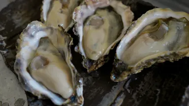 瀬上水産(能登かき養殖)