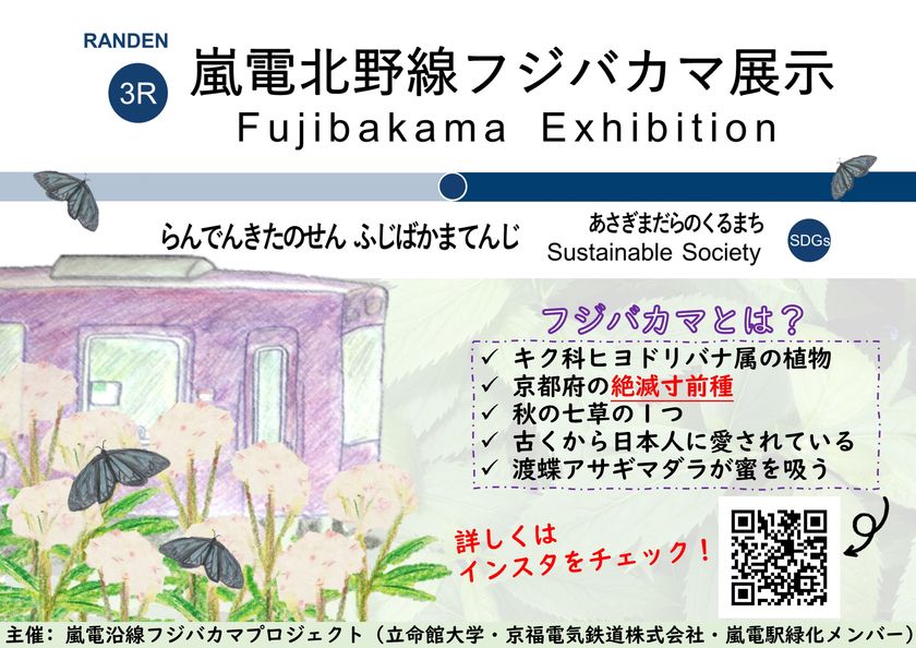 絶滅寸前種「フジバカマ」鉢植えを嵐電北野線の全駅に展示
