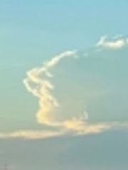 株式会社満天社のロゴ