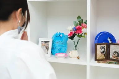 ペットセレモニー