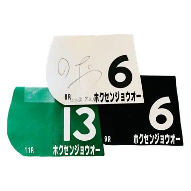 愛馬のゼッケン