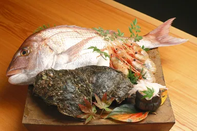 富山新湊漁港から直送 朝捕れ海鮮