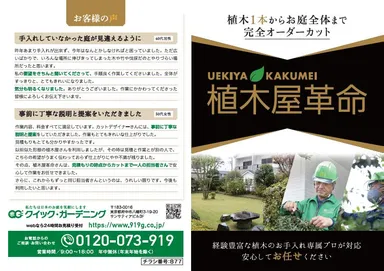 バナナペーパーチラシ表面