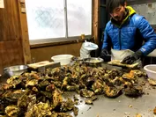 安楽島の牡蠣剥き