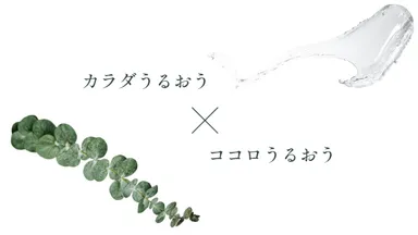 おくだけエコ加湿