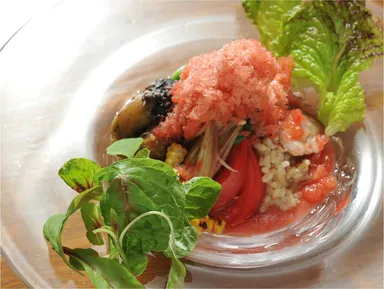 氷リゾット ～9種の夏野菜とグリルチキンのスープ仕立て～