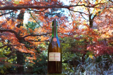 梅リキュール 星子-HOSHIKO- 2021 ヌーヴォー