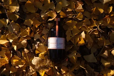 星子シロップ -HOSHIKO SYRUP-